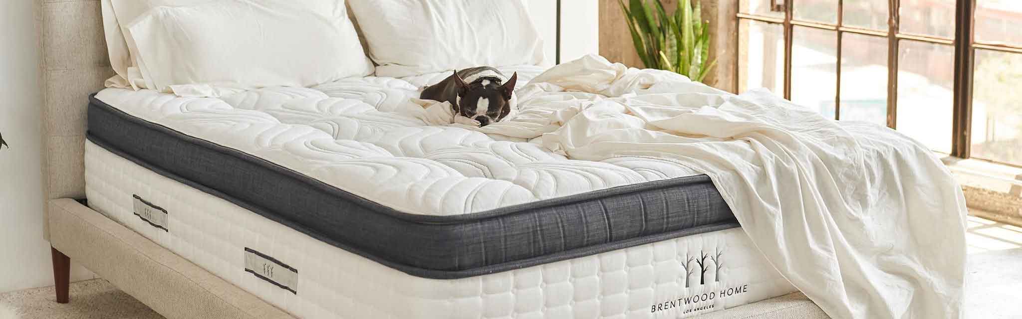 Best Mattress Toppers of 2024 - Consumer Reports